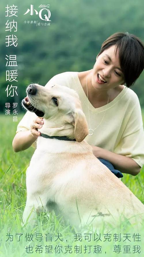 购买假英国克莱兹代尔银行对账单